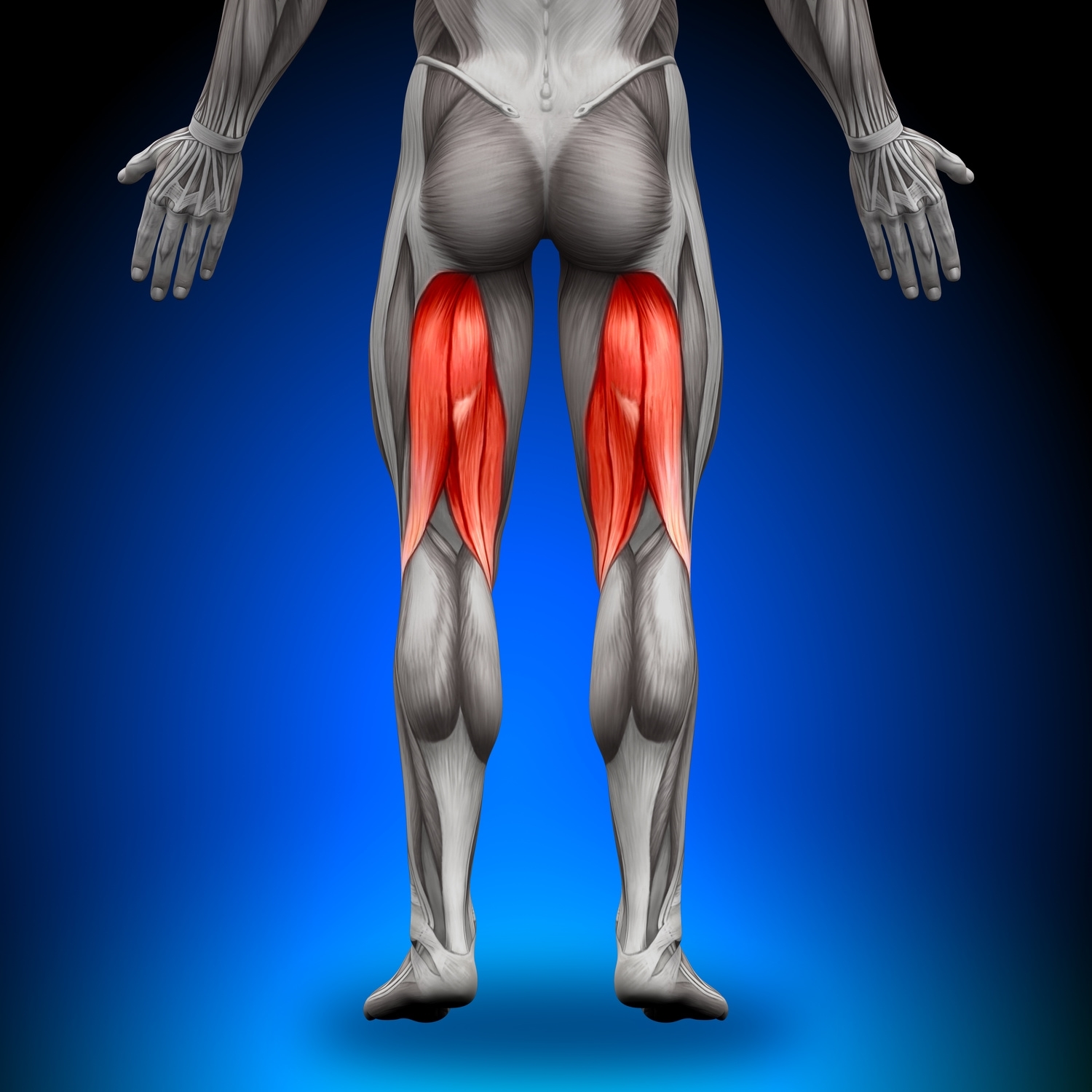 top-3-reasons-why-you-have-tight-hamstrings-pogo-physio-gold-coast