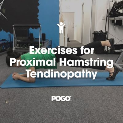 Exercises For Proximal Hamstring Tendinopathy | POGO Physio Gold Coast