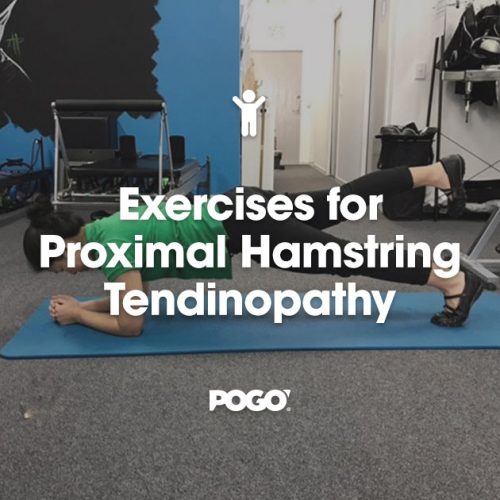 Exercises for Proximal Hamstring Tendinopathy | POGO Physio Gold Coast