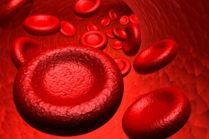 POGO Physio Gold Coast red blood cells