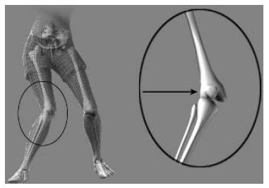 Sports-Performance