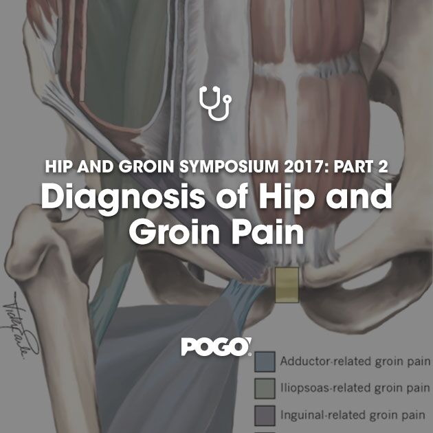 Hip and Groin Symposium 2017: Part 2 Adductor Related Groin Pain | POGO ...