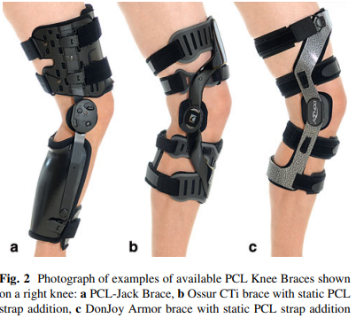 Posterior Cruciate Ligament (PCL) Injuries | POGO Physio Gold Coast