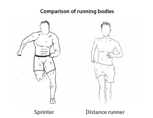 running body differences