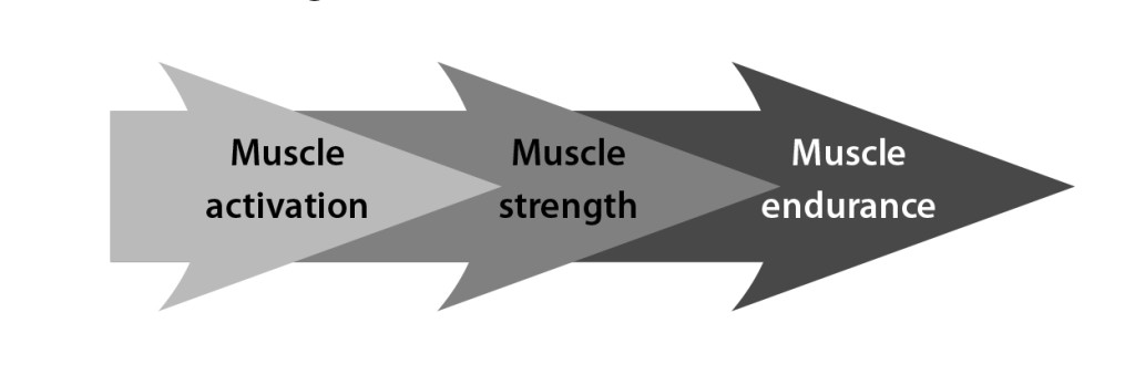 The three stages of muscle strength development (pg 247 You CAN Run Pain Free!)