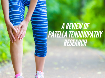 A Review Of Recent Research On Patella Tendinopathy | Pogo Physio Gold ...