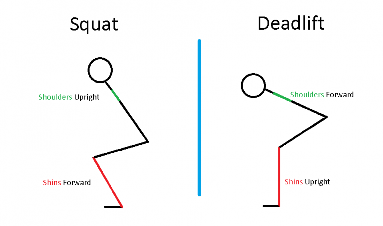 What Are The Differences In Technique Between A Squat And A Deadlift Pogo Physio Gold Coast 