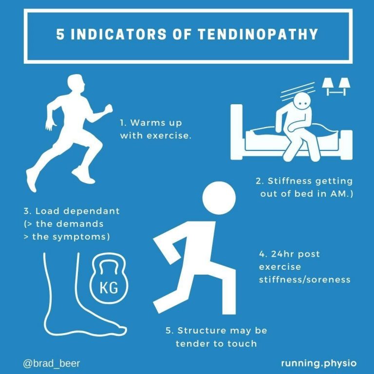 How To Rehabilitate Proximal Hamstring Tendinopathy | POGO Physio Gold ...