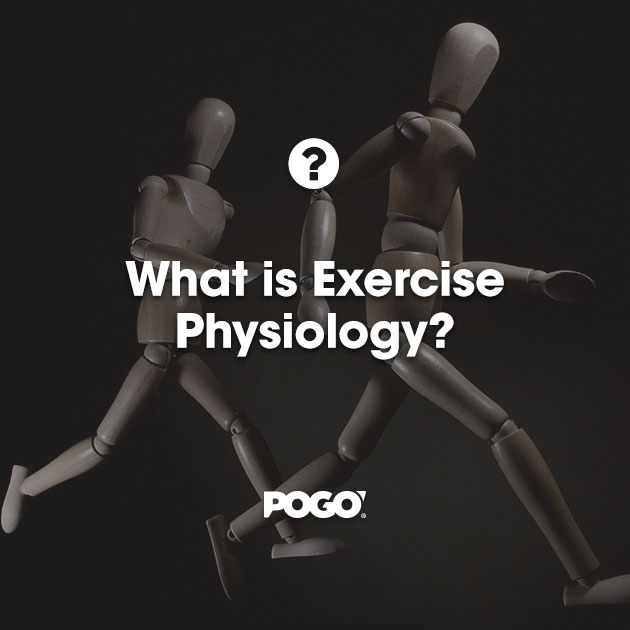 What Is Exercise Physiology? | POGO Physio Gold Coast